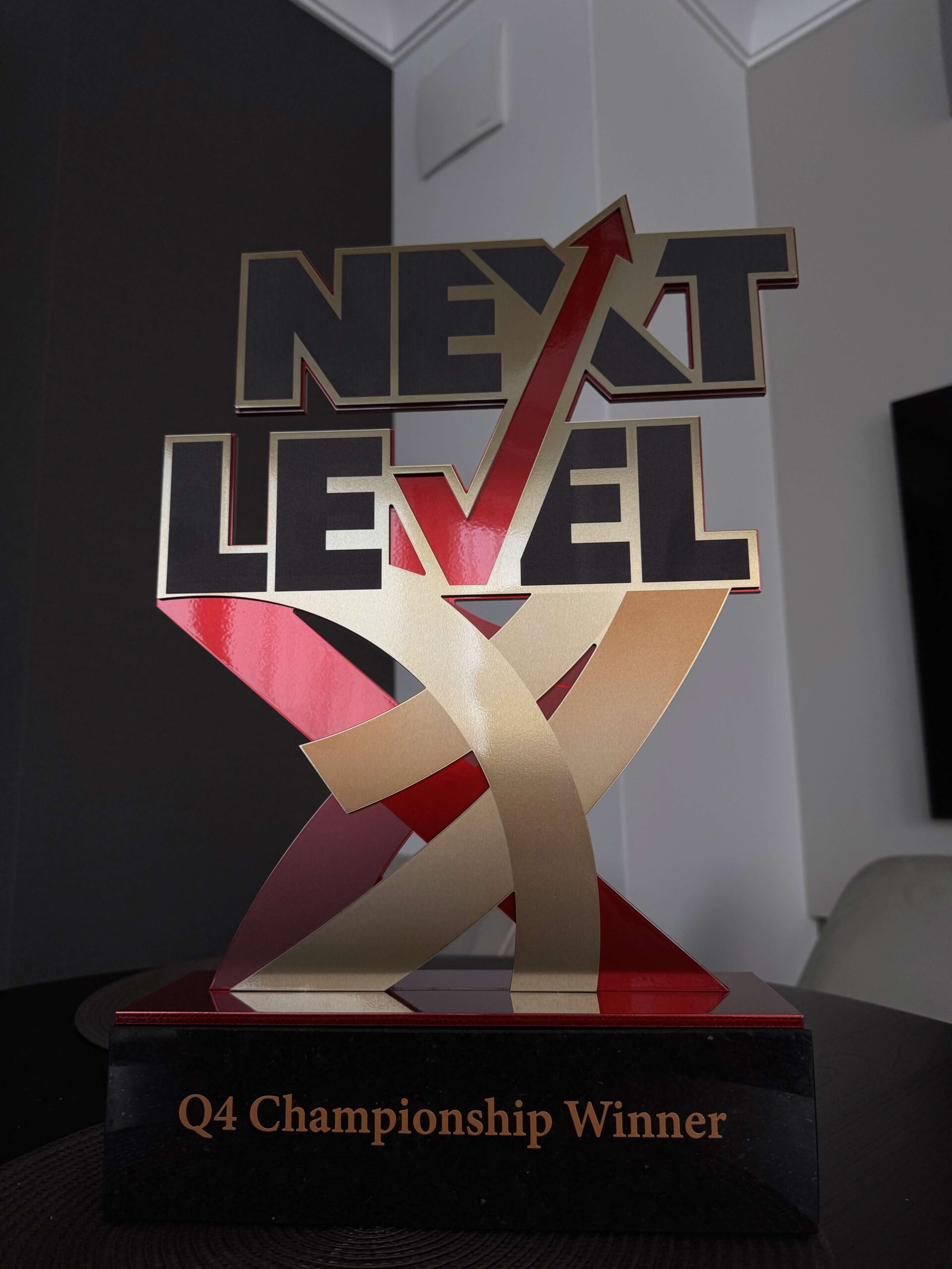 Puchar Next Level Q4 Championship